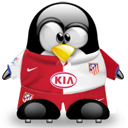 Penguin pingouin pinguino 312